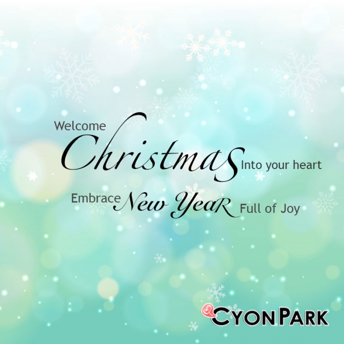 Christmas-new-year-2014-from-cyonpark